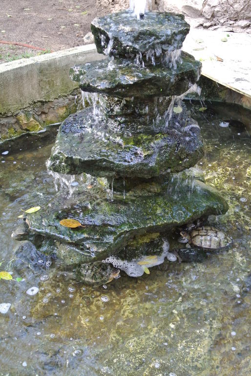 Koox City Garden Hotel ปลายาเดลการ์เมน ภายนอก รูปภาพ